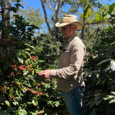 2025 Harvest Update: Coffee Market Hits an All Time High