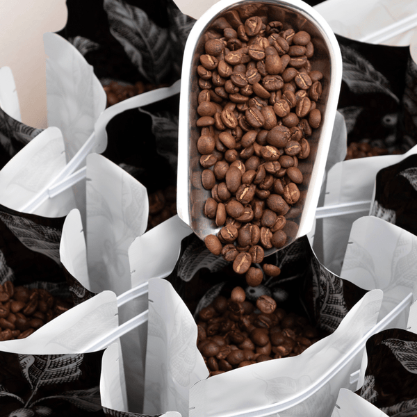 Crafting Coffee Blends: 6 Steps on How We Make Coffee Blends